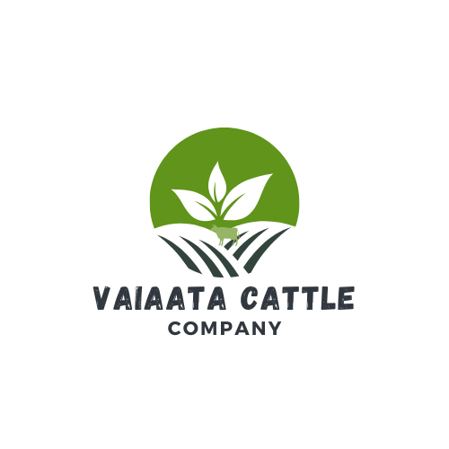 Vaiaata Cattle Company LTD